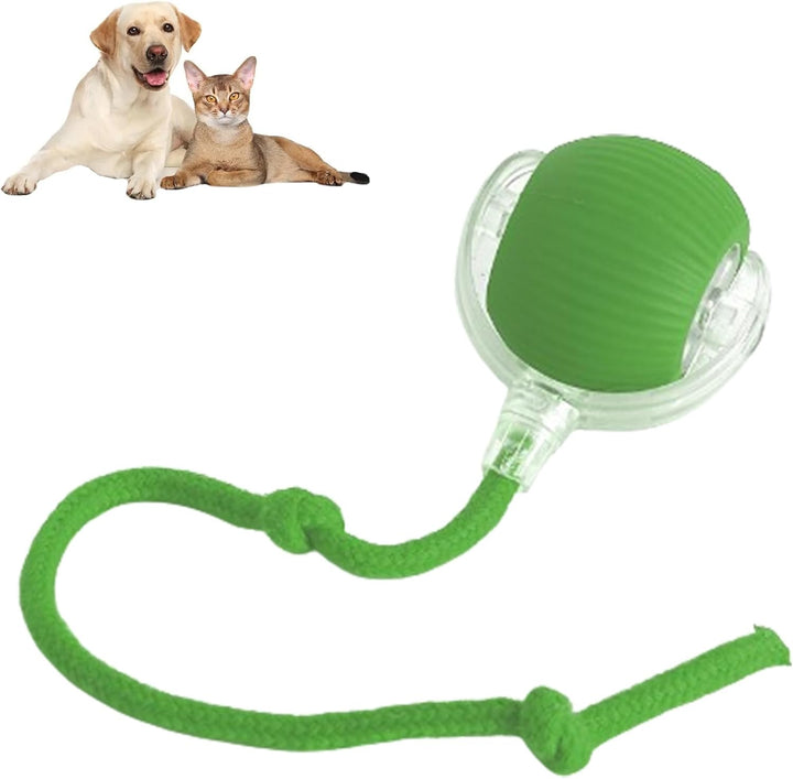 Self-Moving Action Toy