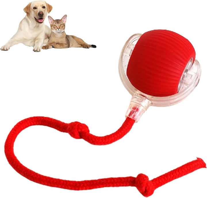 Self-Moving Action Toy