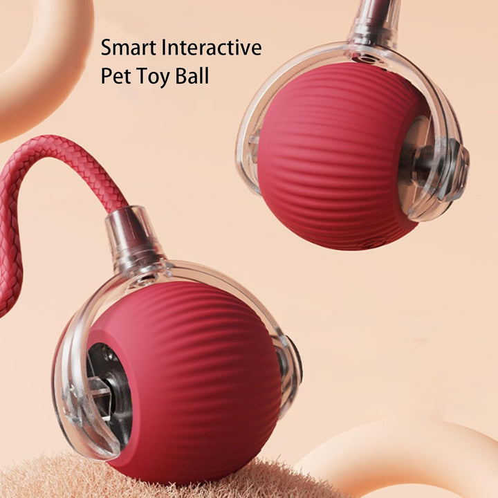 Self-Moving Action Toy