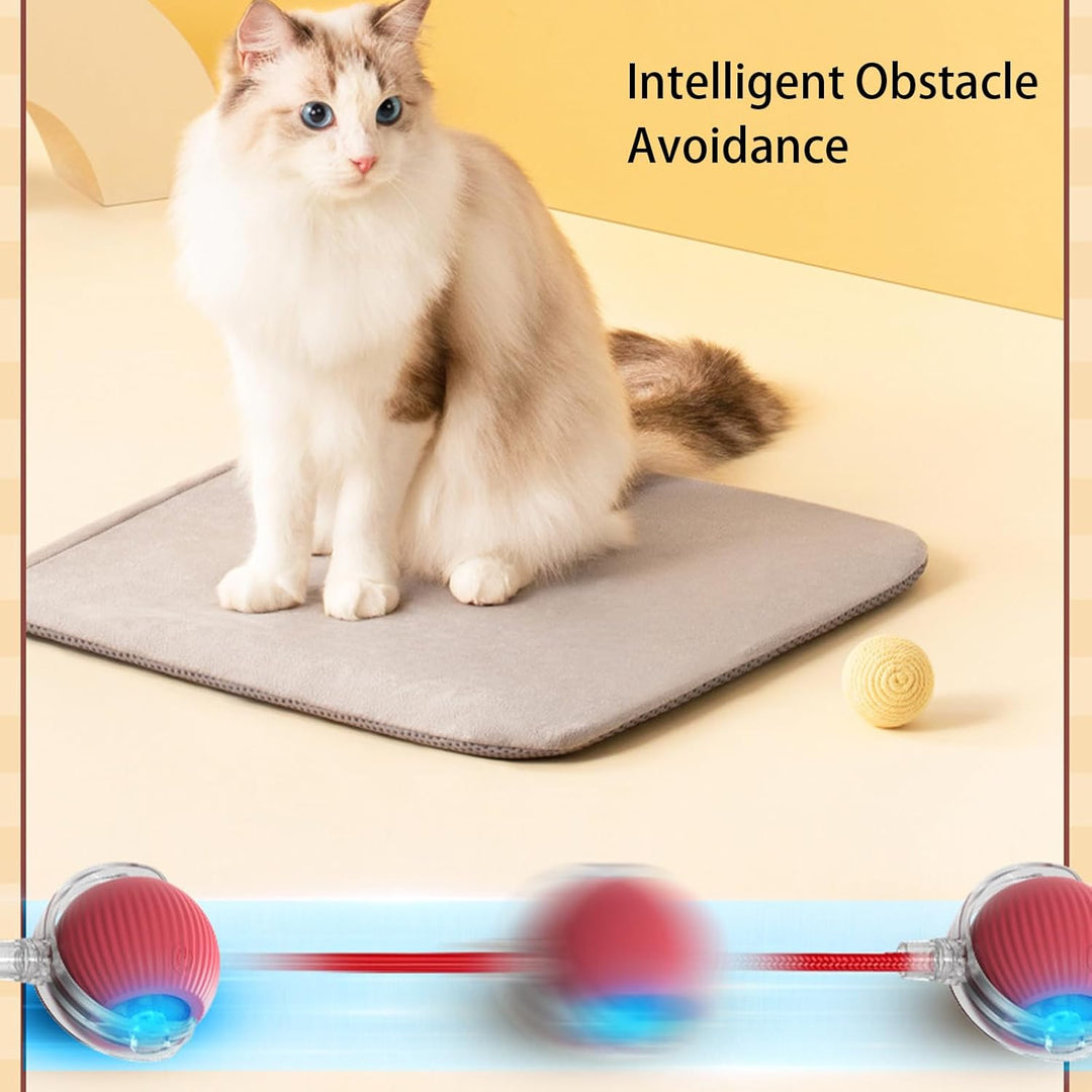 Self-Moving Action Toy