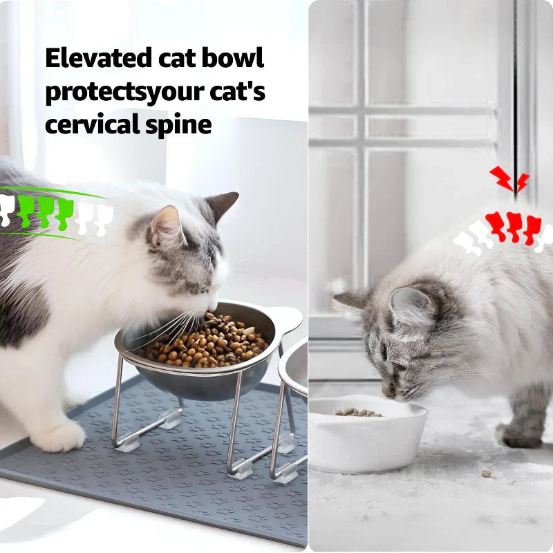 Elevated Cat Bowl 15° for Healthy Feeding