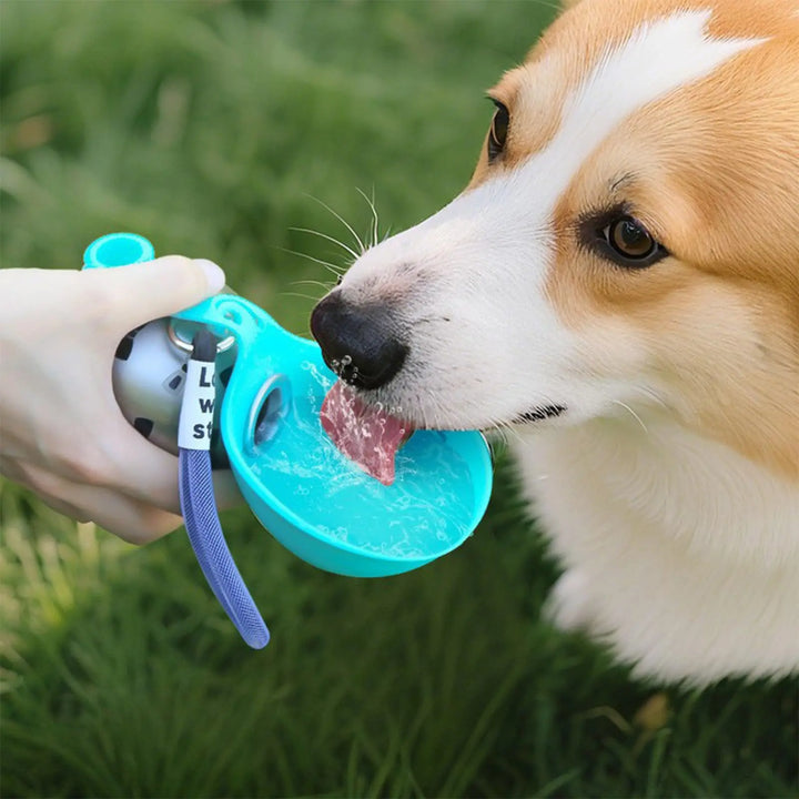 Water Bottle 🐶💧 - Drink & Bowl in One