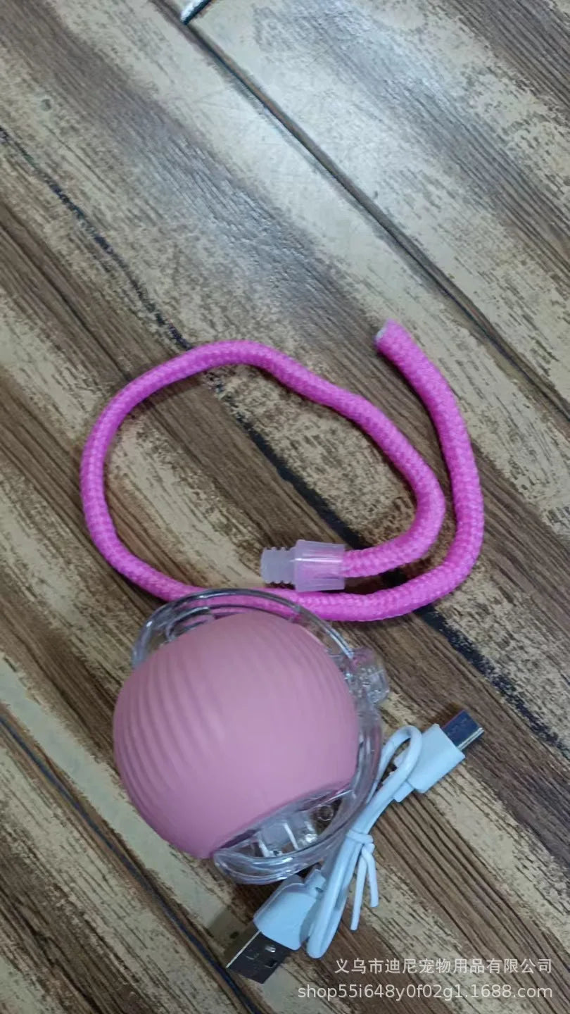 Self-Moving Action Toy