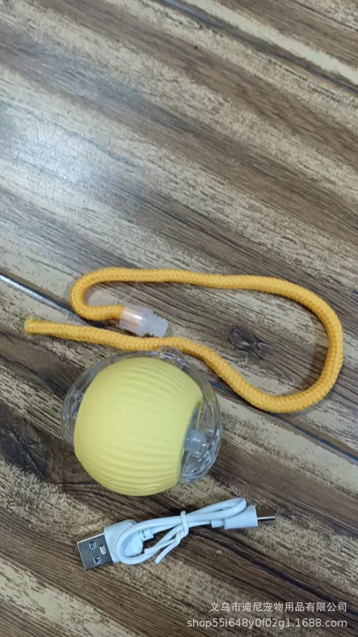 Self-Moving Action Toy