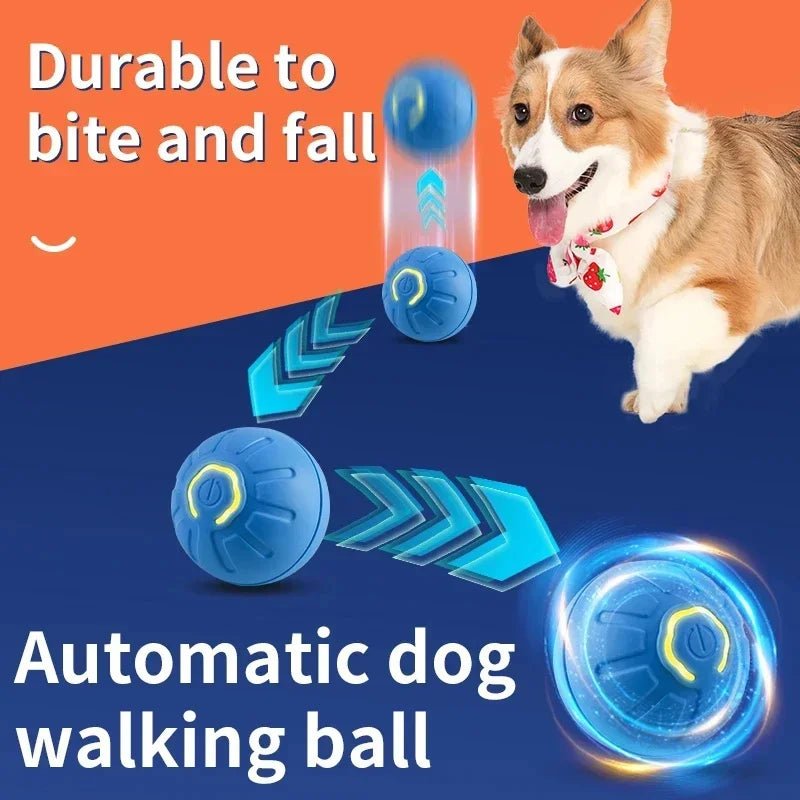 Interractive Motion Activated Rolling Ball Dog Toy
