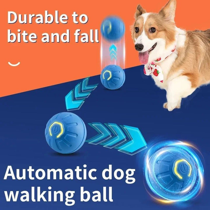 Interractive Motion Activated Rolling Ball Dog Toy