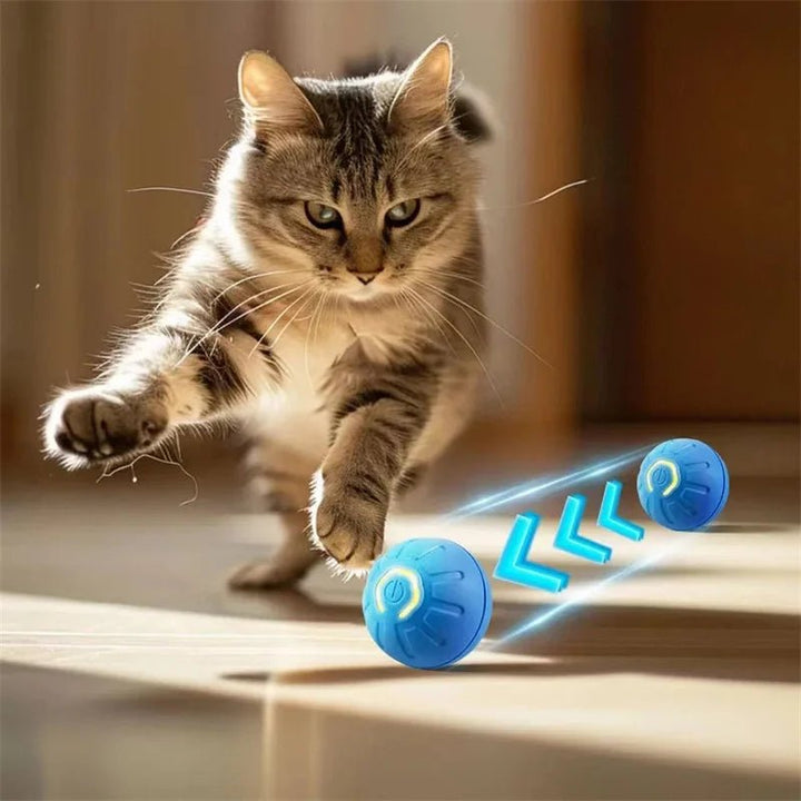 Interractive Motion Activated Rolling Ball Dog Toy