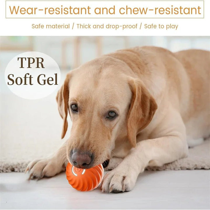 Interractive Motion Activated Rolling Ball Dog Toy