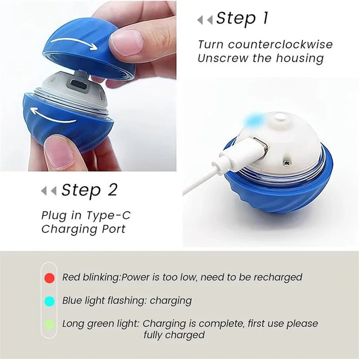 Interractive Motion Activated Rolling Ball Dog Toy