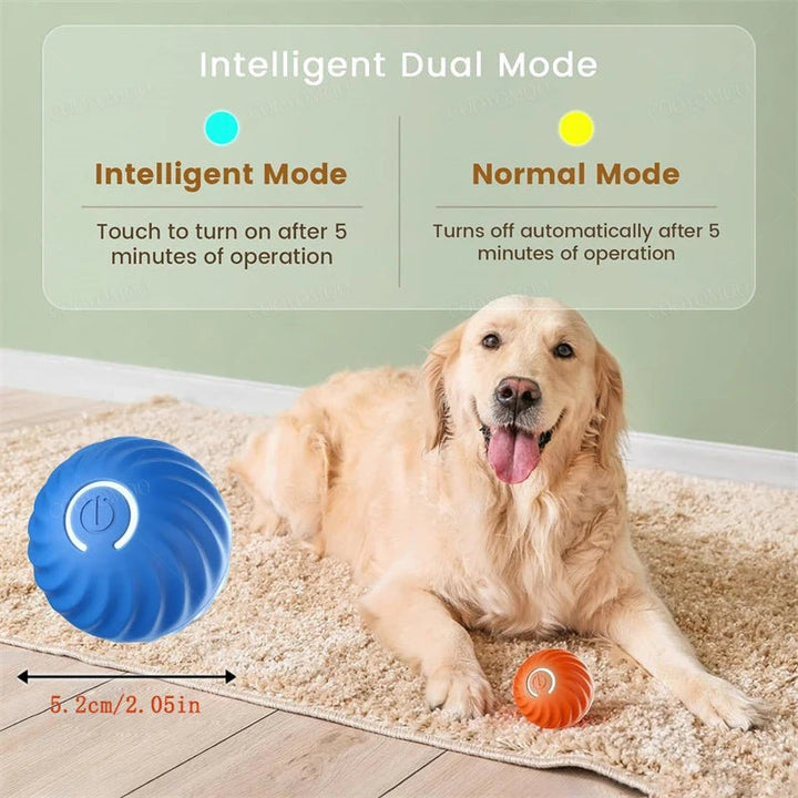 Interractive Motion Activated Rolling Ball Dog Toy