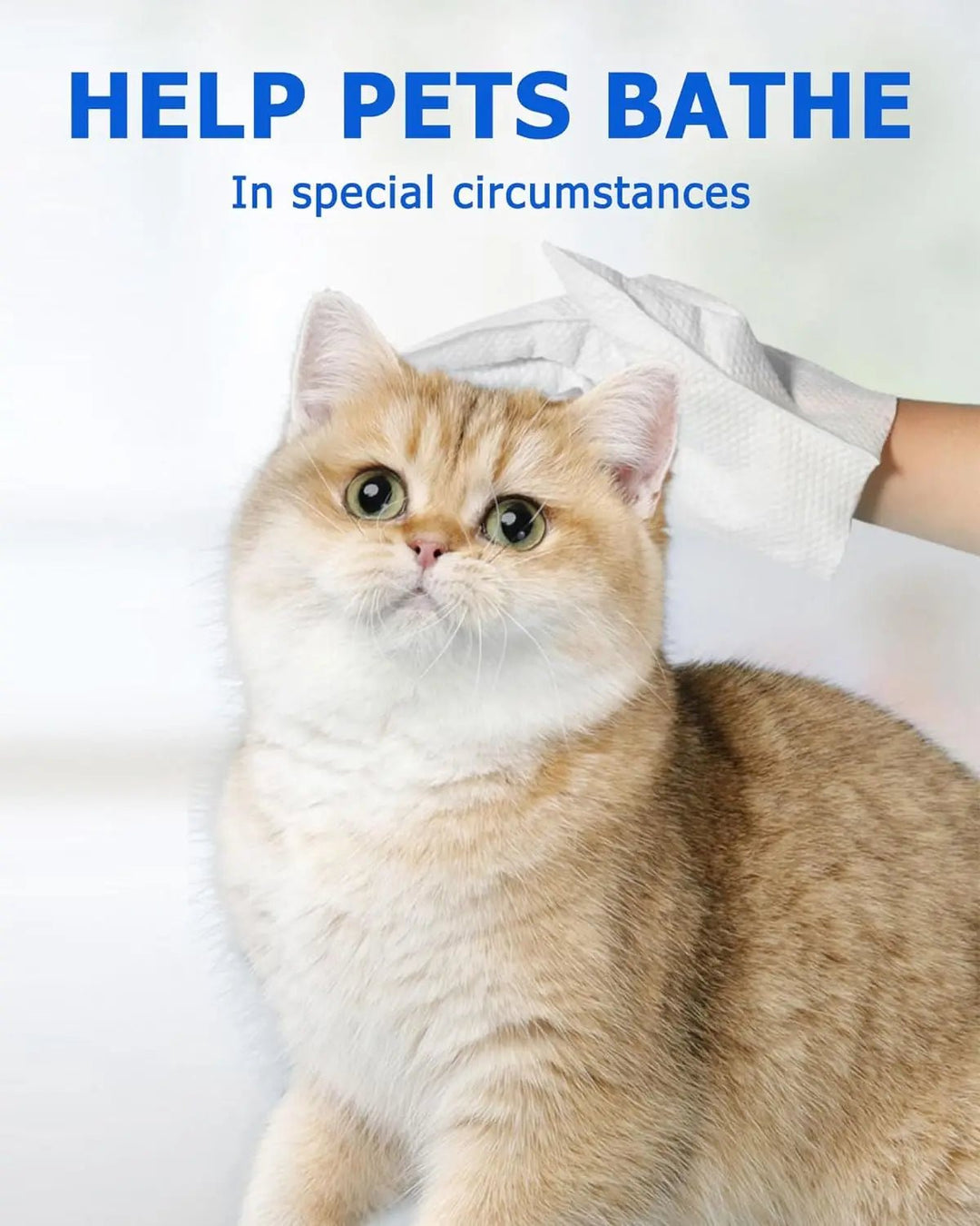 Pet Bathing Wipes